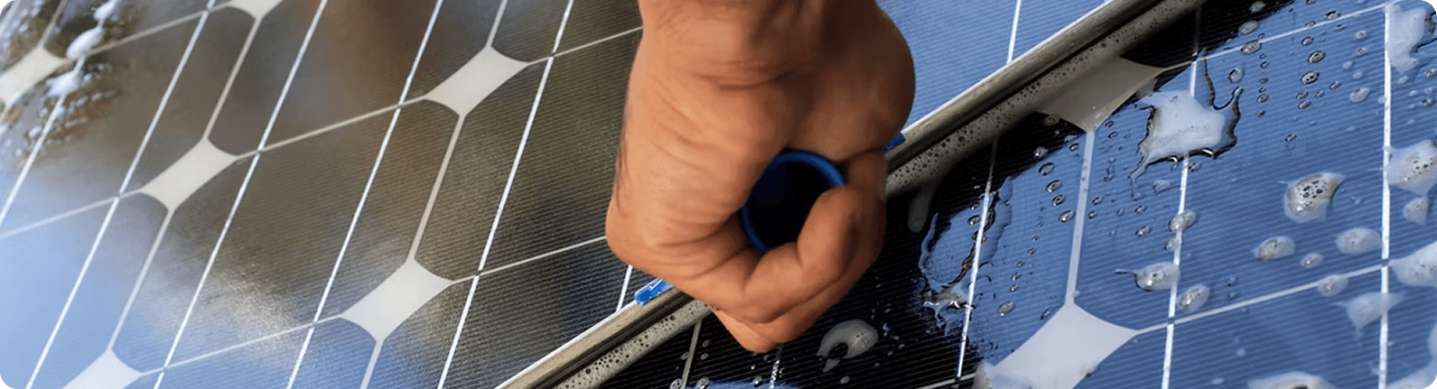 Solar Panel Cleaning Best Practices: DIY vs. Professional Services